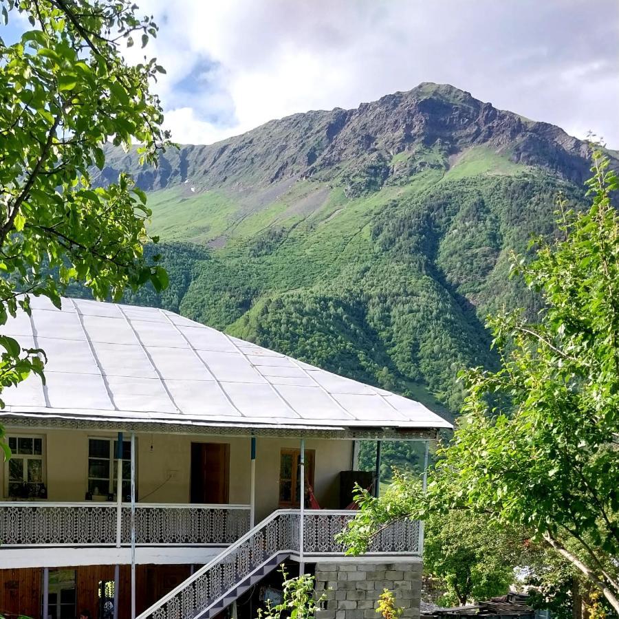 Guesthouse Leno Tsaldashi Exterior photo